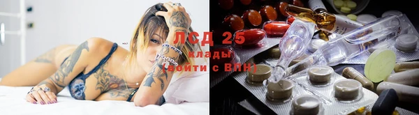 ГАЛЛЮЦИНОГЕННЫЕ ГРИБЫ Балабаново