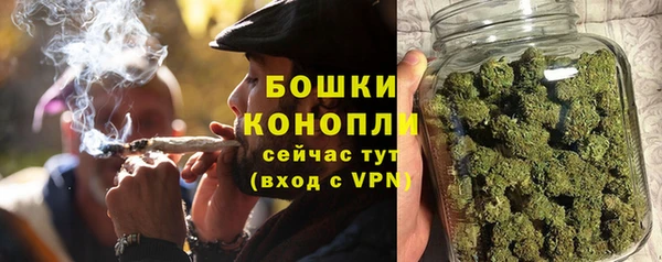 дживик Козельск