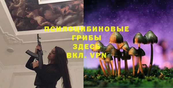 каннабис Баксан