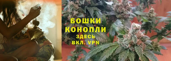 ГАЛЛЮЦИНОГЕННЫЕ ГРИБЫ Балабаново